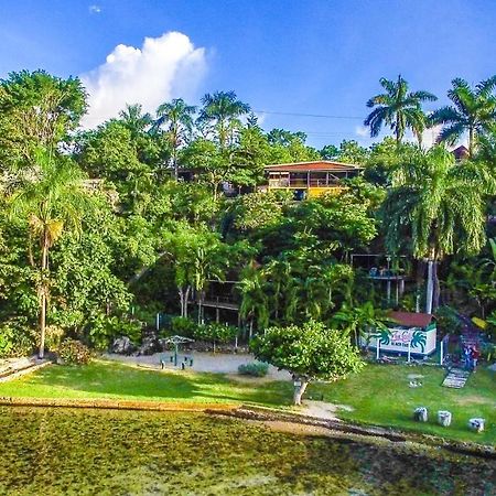 Zion Country Bed & Breakfast Manchioneal Bagian luar foto