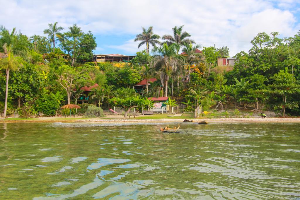 Zion Country Bed & Breakfast Manchioneal Bagian luar foto