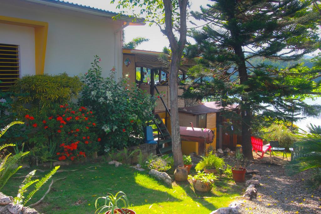 Zion Country Bed & Breakfast Manchioneal Bagian luar foto