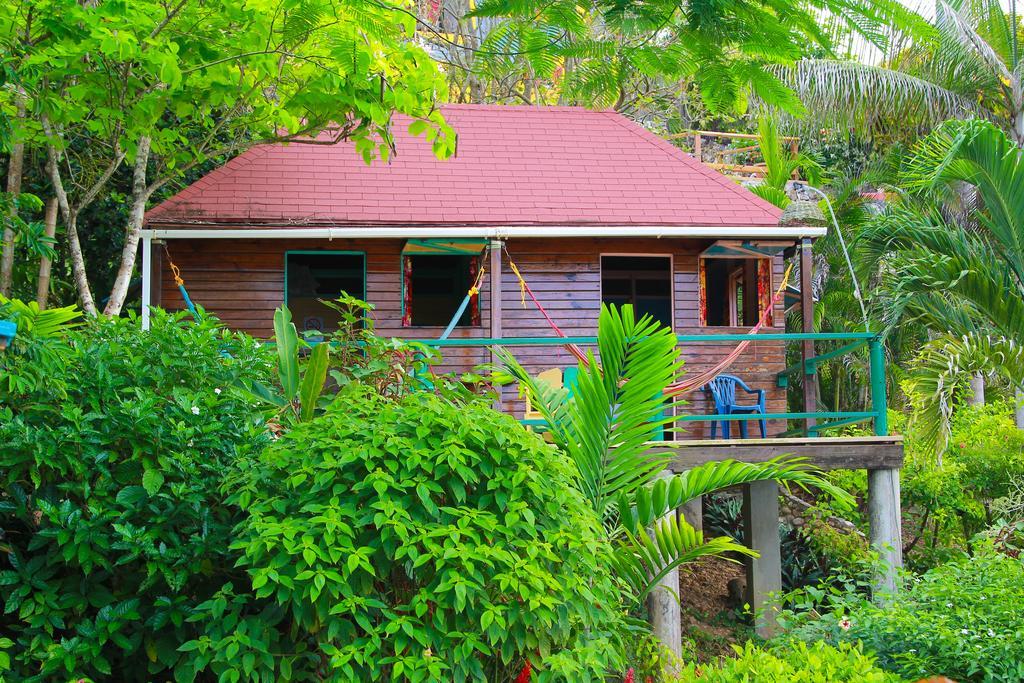 Zion Country Bed & Breakfast Manchioneal Ruang foto