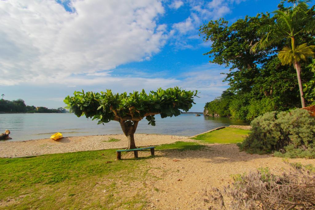 Zion Country Bed & Breakfast Manchioneal Bagian luar foto
