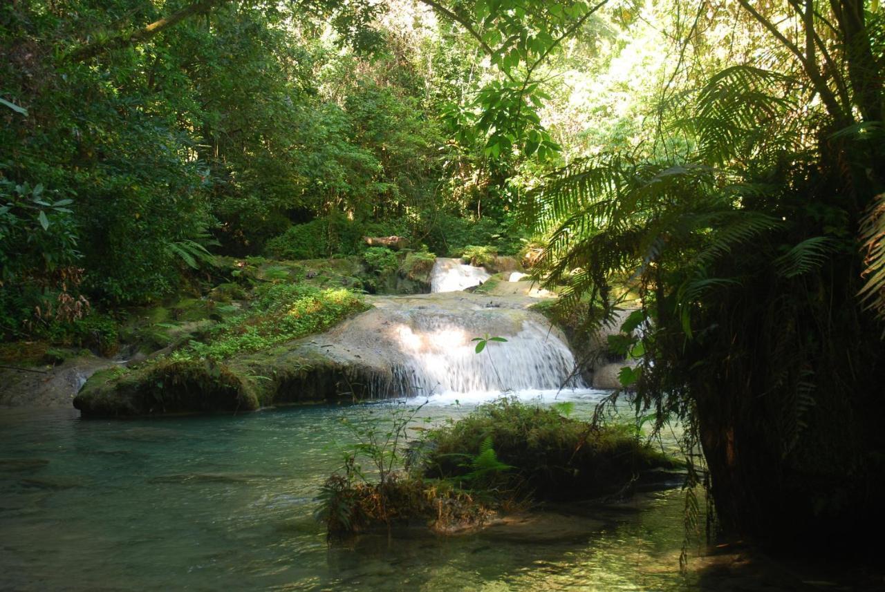 Zion Country Bed & Breakfast Manchioneal Bagian luar foto