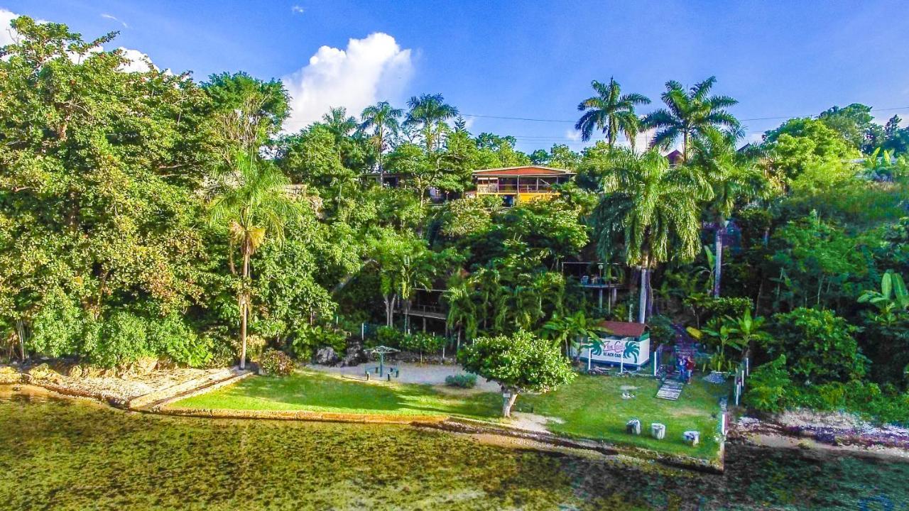 Zion Country Bed & Breakfast Manchioneal Bagian luar foto