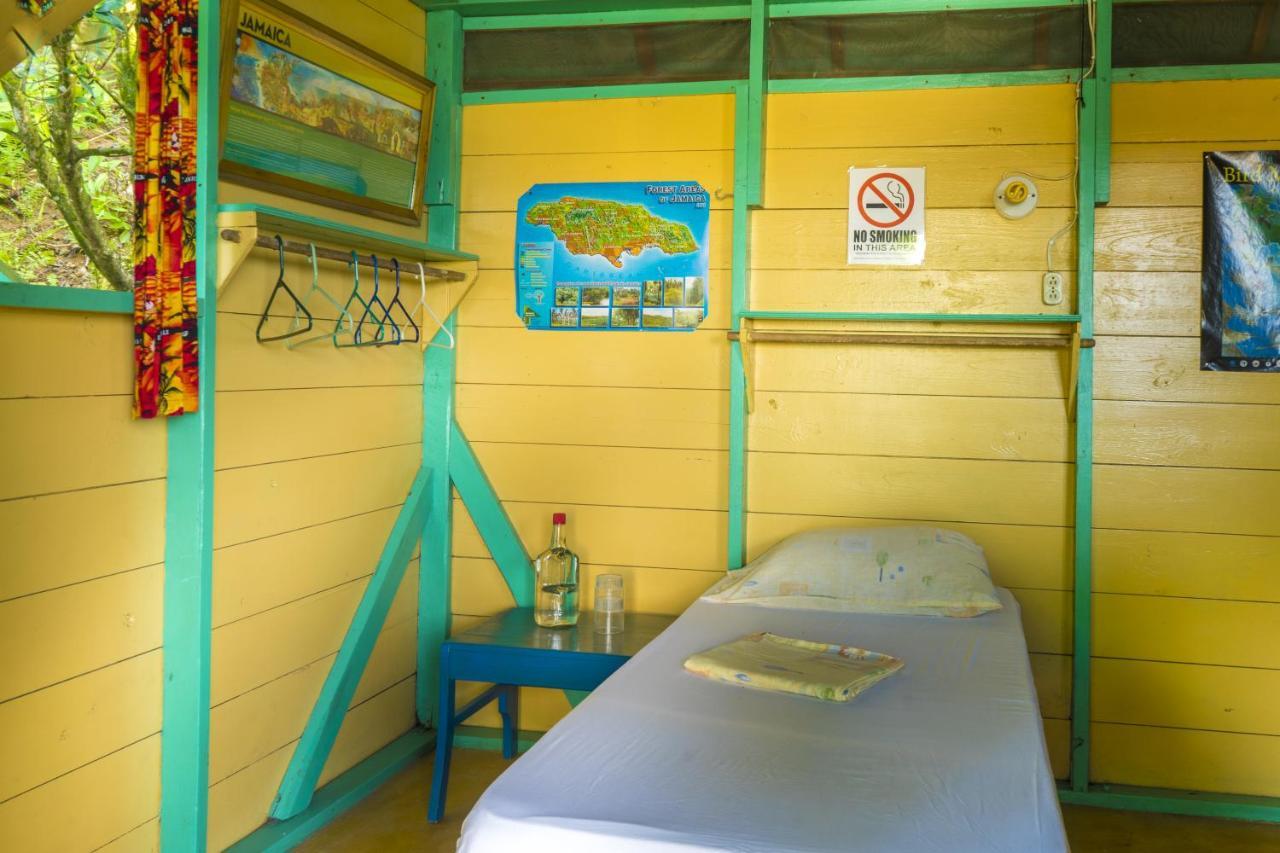 Zion Country Bed & Breakfast Manchioneal Bagian luar foto